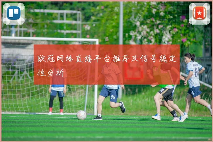 欧冠网络直播平台推荐及信号稳定性分析