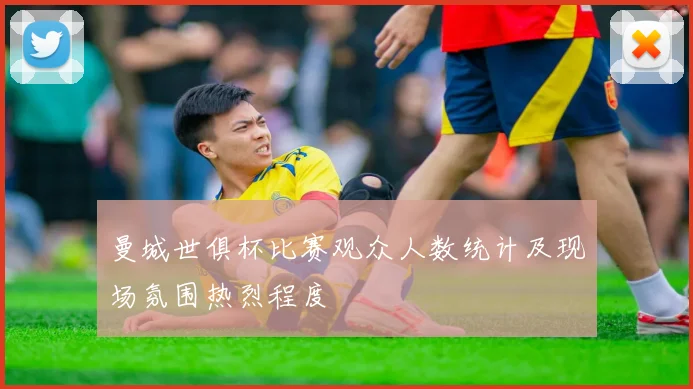 曼城世俱杯比赛观众人数统计及现场氛围热烈程度