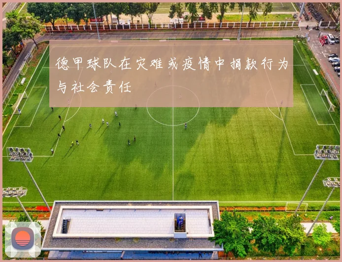 德甲球队在灾难或疫情中捐款行为与社会责任