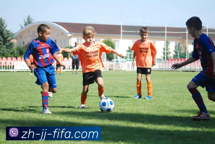 世界杯赛程服务体系